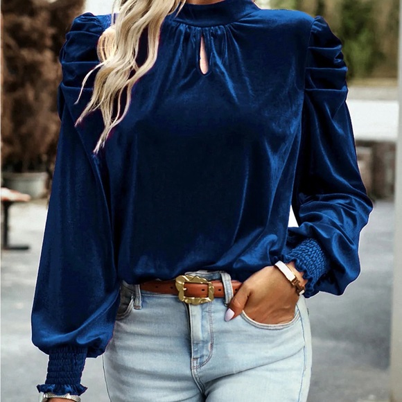 Tie Up Mock Neck Velvet Fabric Long Sleeve Blouse - Picture 4 of 12